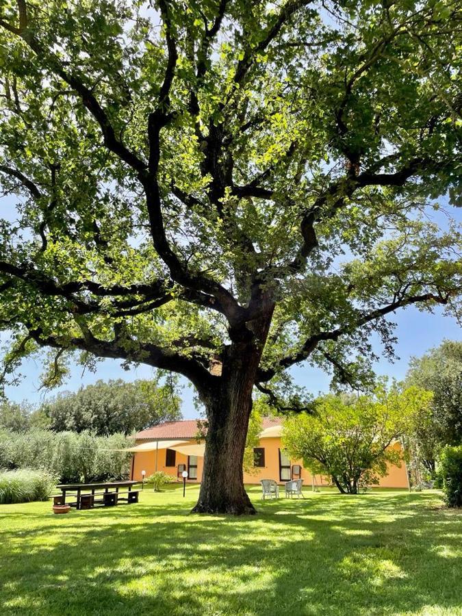 Agriturismo I Tre Fossi Magliano in Toscana Exteriör bild