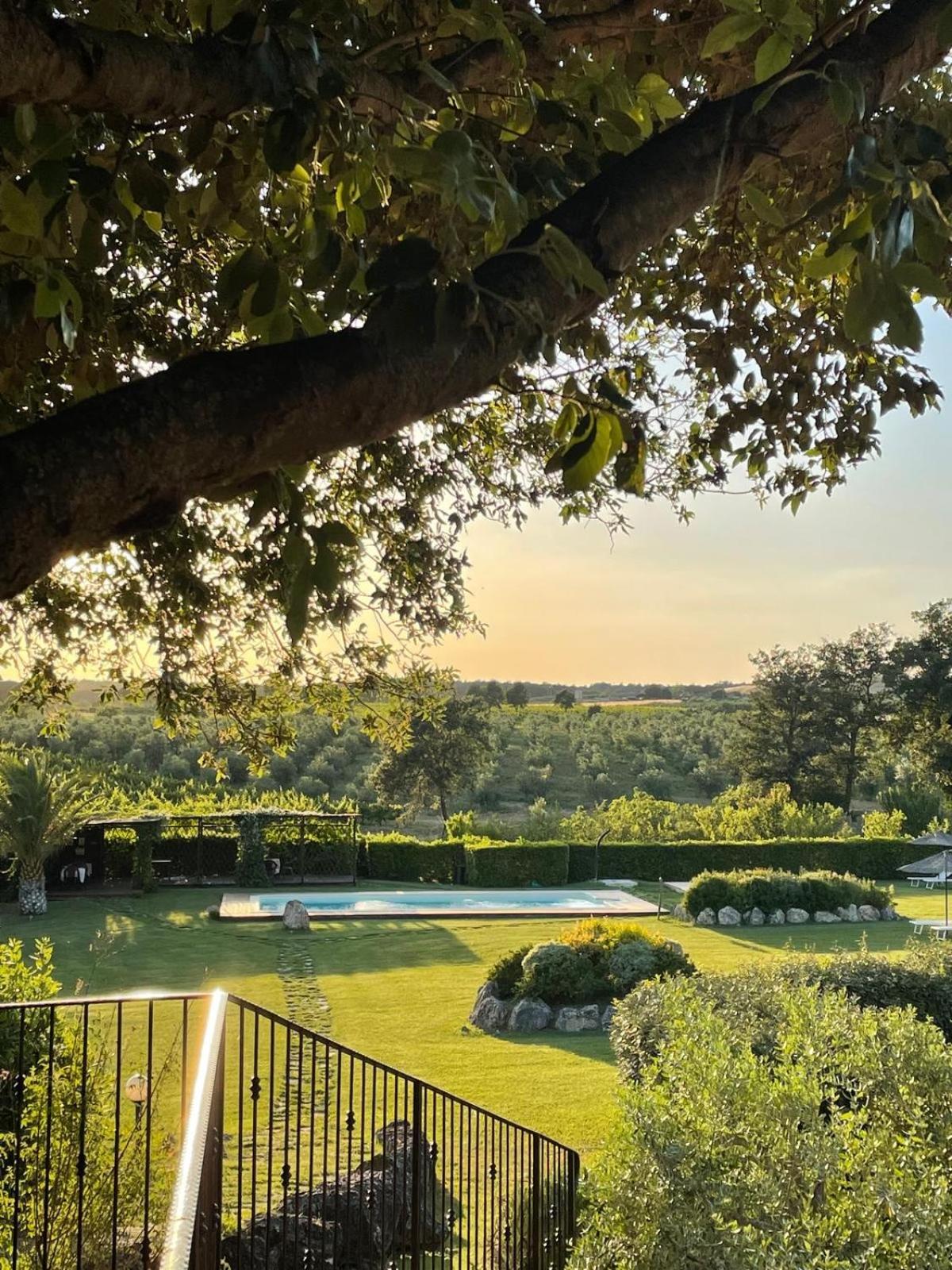 Agriturismo I Tre Fossi Magliano in Toscana Exteriör bild