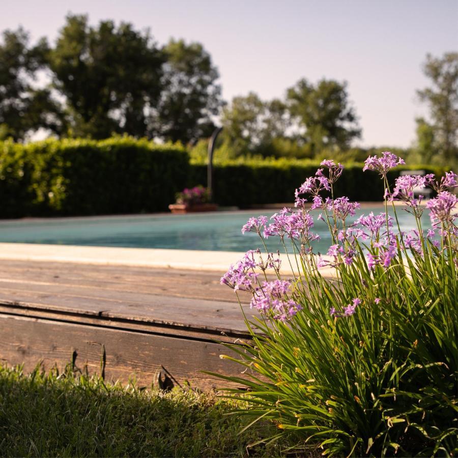 Agriturismo I Tre Fossi Magliano in Toscana Exteriör bild