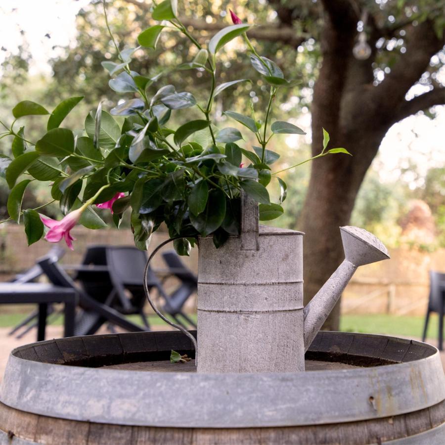 Agriturismo I Tre Fossi Magliano in Toscana Exteriör bild